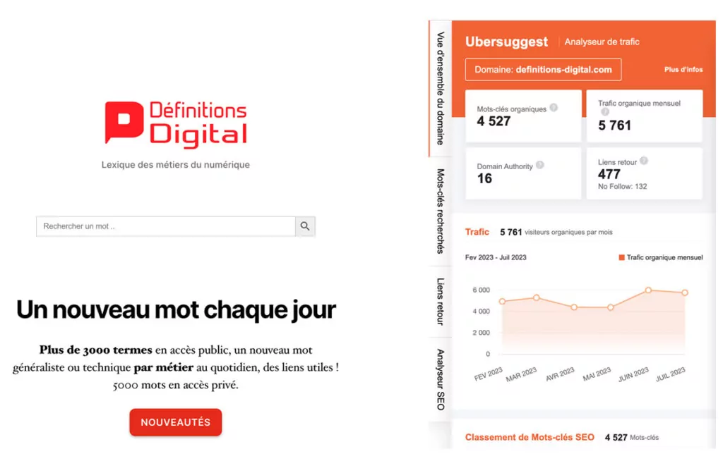 Exemple Ubersuggest