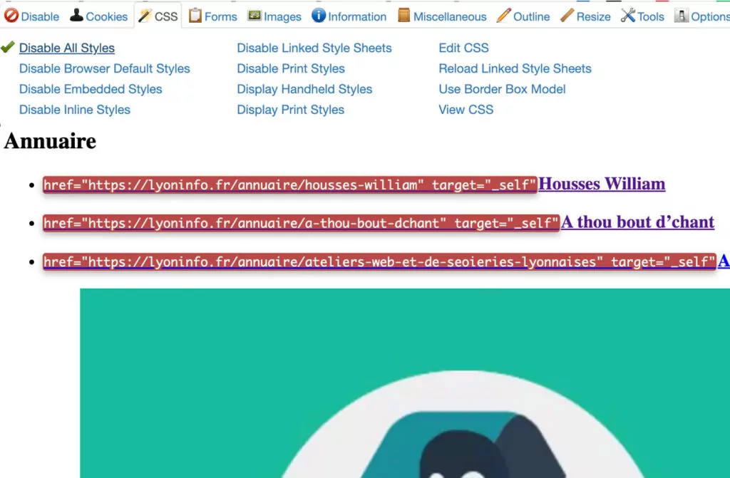 Extension SEO - Web Developer