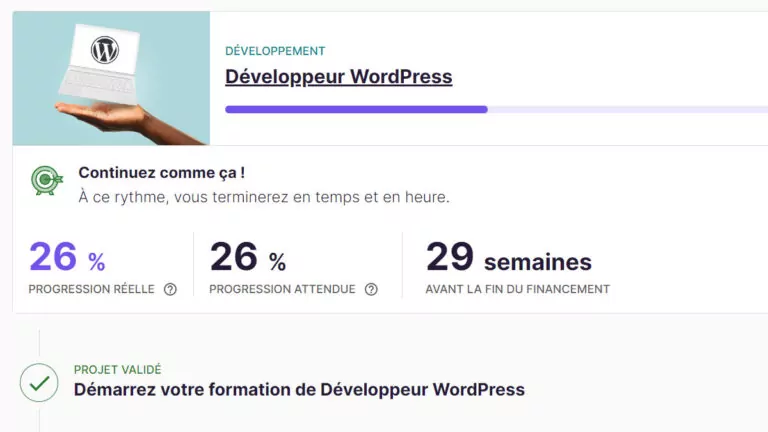 Développeur WordPress OC